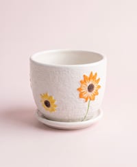 أصيص - صغير - صورة 1