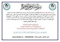 تحضير فنية ثاني ابتدائي الفصل الأول كتبي - صورة 2