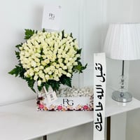 13446 - Image 1