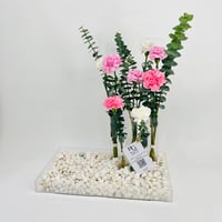 7647-144 - Image 3