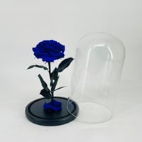 11274 - Image 2
