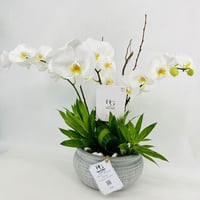 4468 - صورة 3