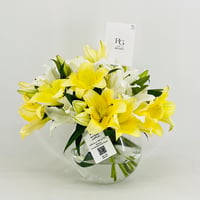 12816 - Image 1