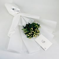 9241 - صورة 2