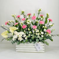 10134-298 - صورة 3