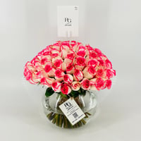 13279 - Image 2