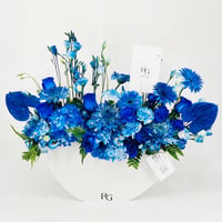 9294-705 - Image 1