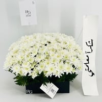 13948 - صورة 2