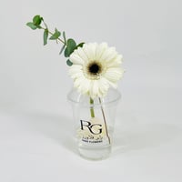 10799 - صورة 3