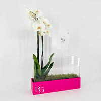 14518 - Image 2