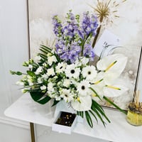 15975 - Image 2