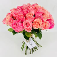 4999-385 - Image 1