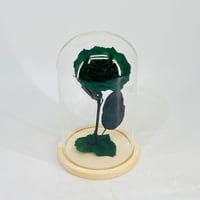 11240 - Image 1