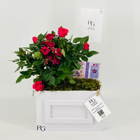 12852 - Image 1