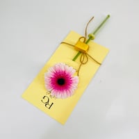 9948 - Image 3
