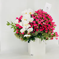 13657-820 - صورة 2