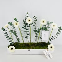 15441 - صورة 1