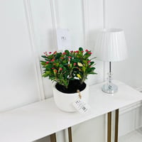النباتات رقم.16432 - صورة 2