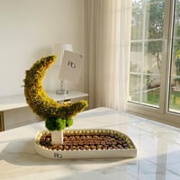 26392 - صورة 1