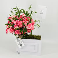 12864 - Image 2