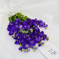 14237 - Image 4