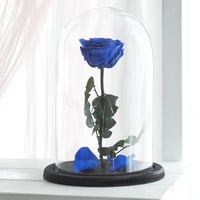 1496-356 - صورة 1