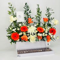 12419-827 - صورة 2