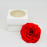 11247-501 - صورة 1