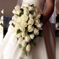 3020-151 - صورة 1