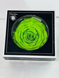 4763 - صورة 1