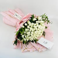 13374 - صورة 1