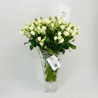 11384-527 - صورة 2