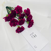 12505 - Image 2