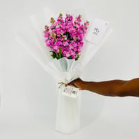 14238 - Image 1