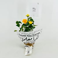 13980 - Image 1