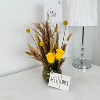 13866 - Image 1