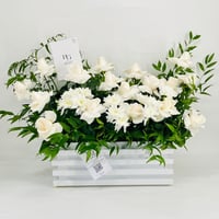 10147 - صورة 1