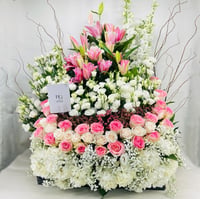6533 - صورة 2