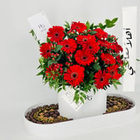 13509 - Image 2