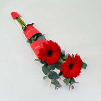 11631-507 - Image 1