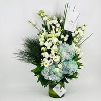 9641-397 - صورة 2