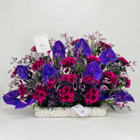11132-537 - Image 1