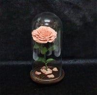 2208-257 - صورة 1