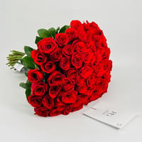 8742-559 - صورة 1