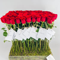 13907-834 - صورة 5