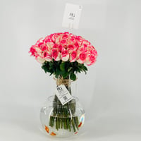 13269 - Image 3