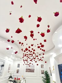 11147-404 - صورة 3