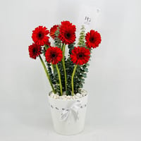 8200-411 - صورة 3