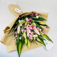 13566 - Image 1