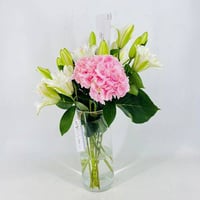 5087-64 - صورة 3